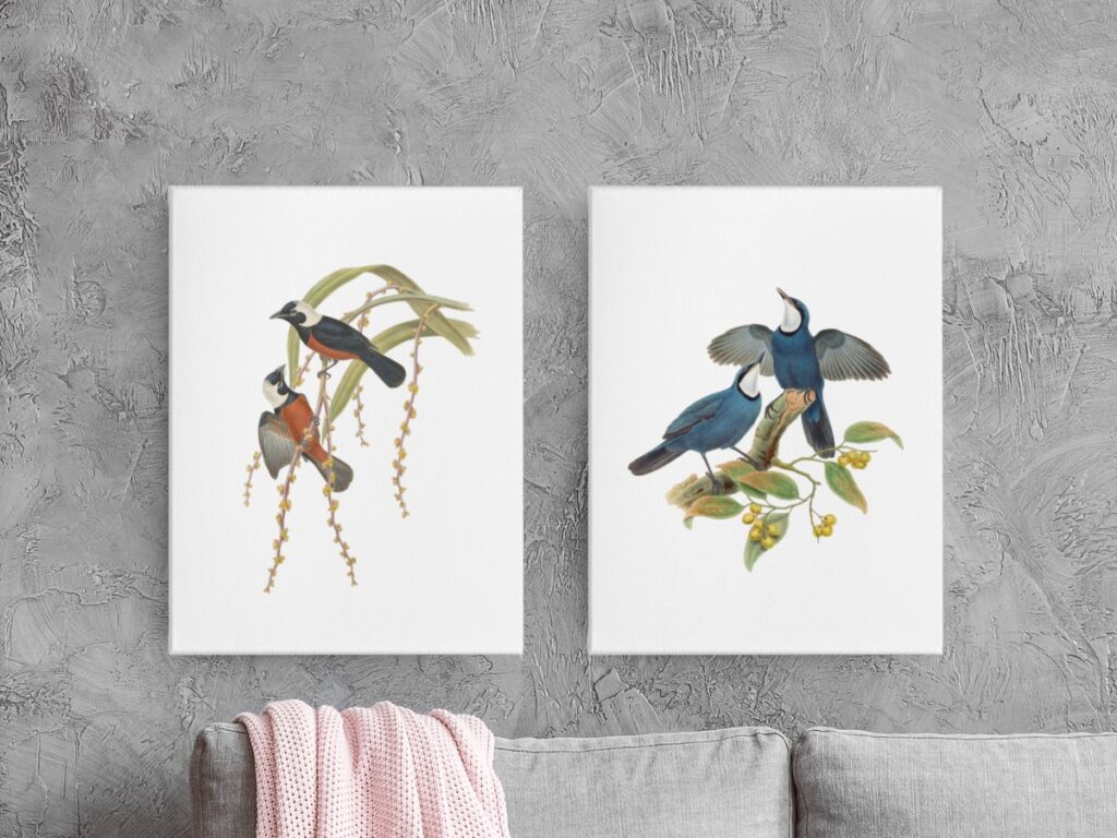 Birds of New Guinea