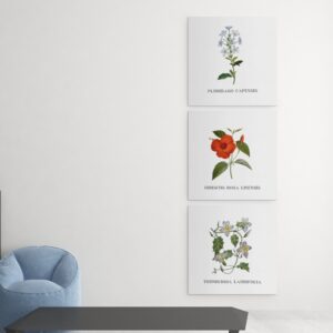 Lena Lowis 'Familiar Indian Flowers' - 14"x14" Canvas Prints