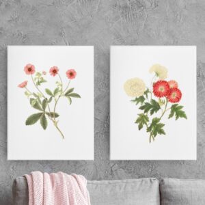 "Floral Illustrations of the Seasons" - 11"x14" Canvas Prints