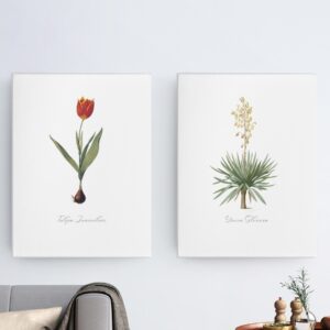Les Liliacées - 8" x 10" Canvas Prints