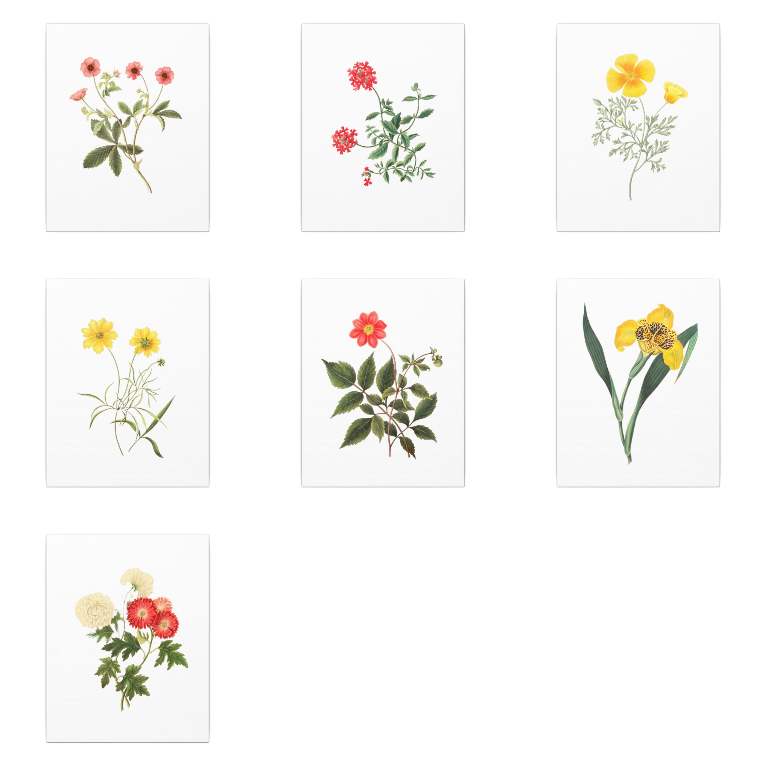 "Floral Illustrations of the Seasons" - 8"x10" Canvas Prints - Image 2