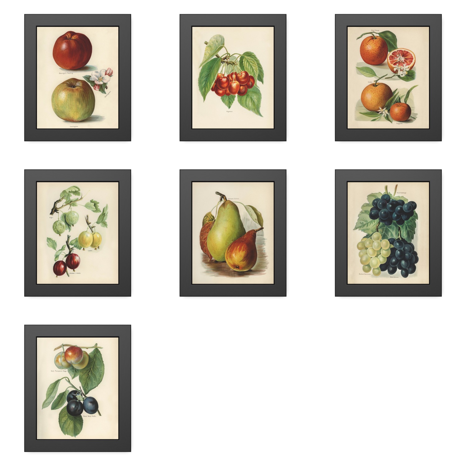 Fruit Growers Guide Illustrations - 8"x10" Framed Prints - Image 2