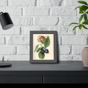 Fruit Growers Guide Illustrations - 8"x10" Framed Prints
