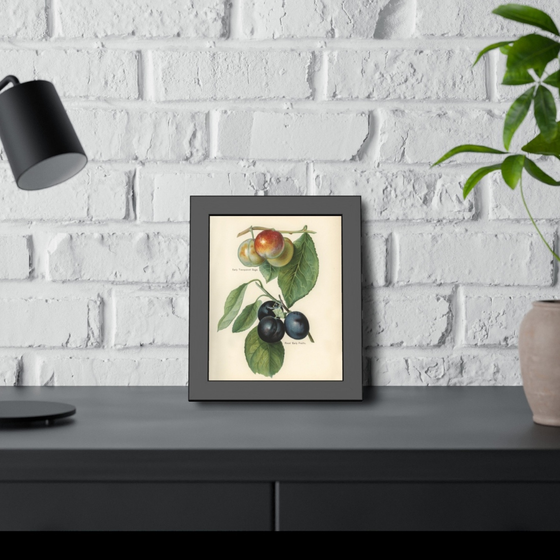 Fruit Growers Guide Illustrations - 8"x10" Framed Prints